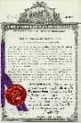 US Patent #5,111,740